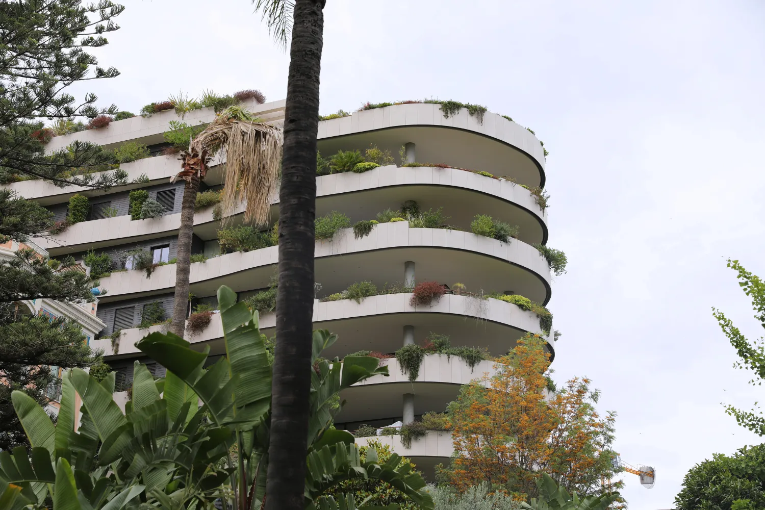 La "piccola Africa" di Monaco