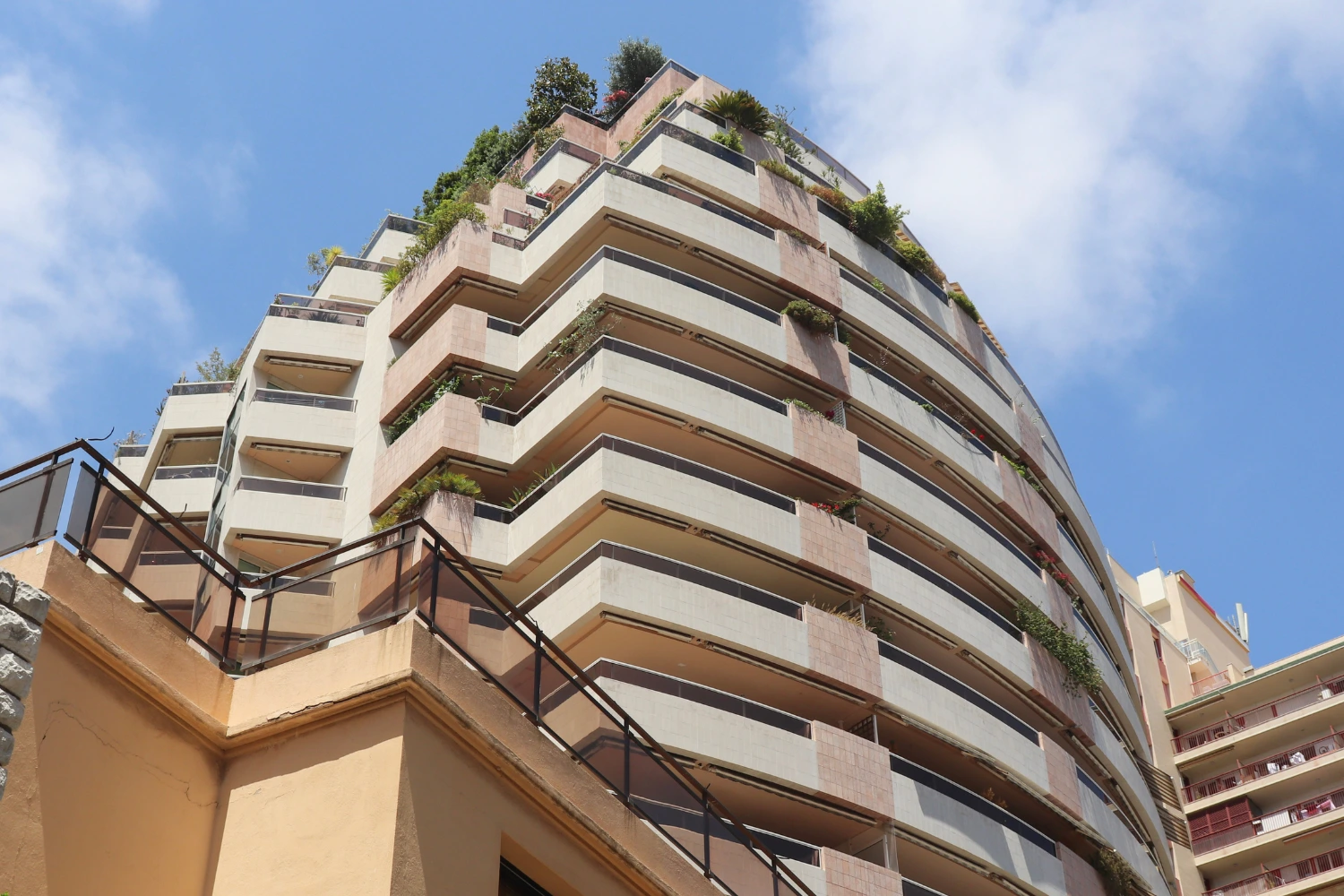 The Patio Palace