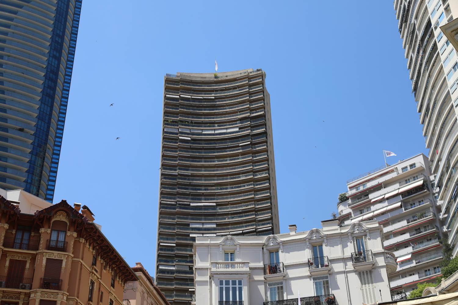 the Annonciade