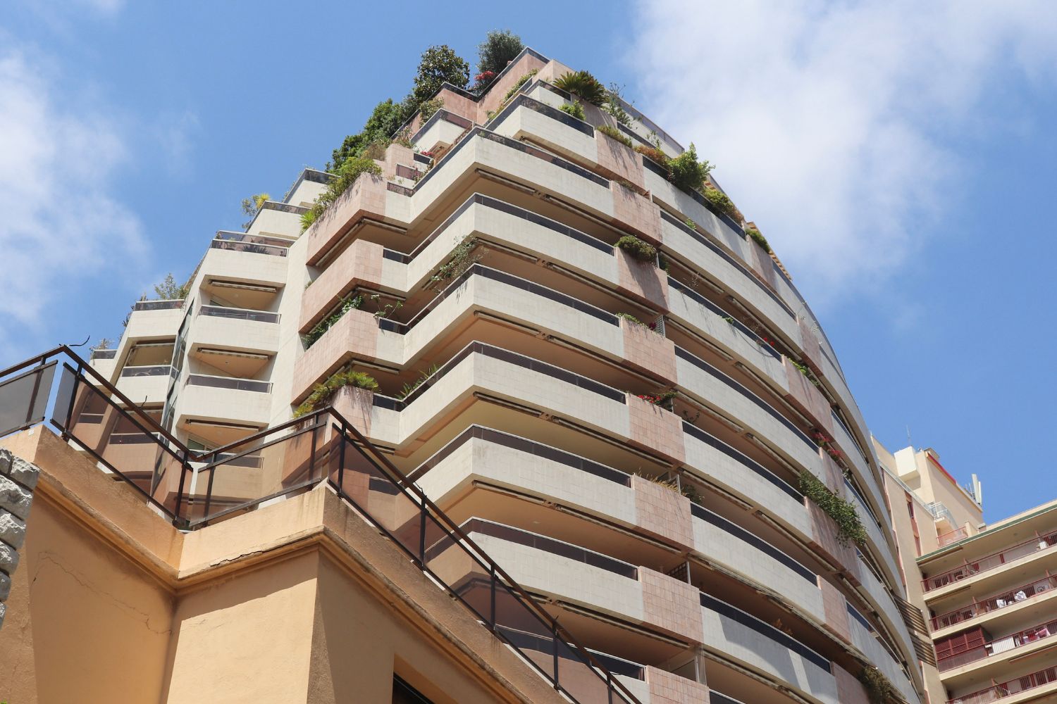 The Patio Palace