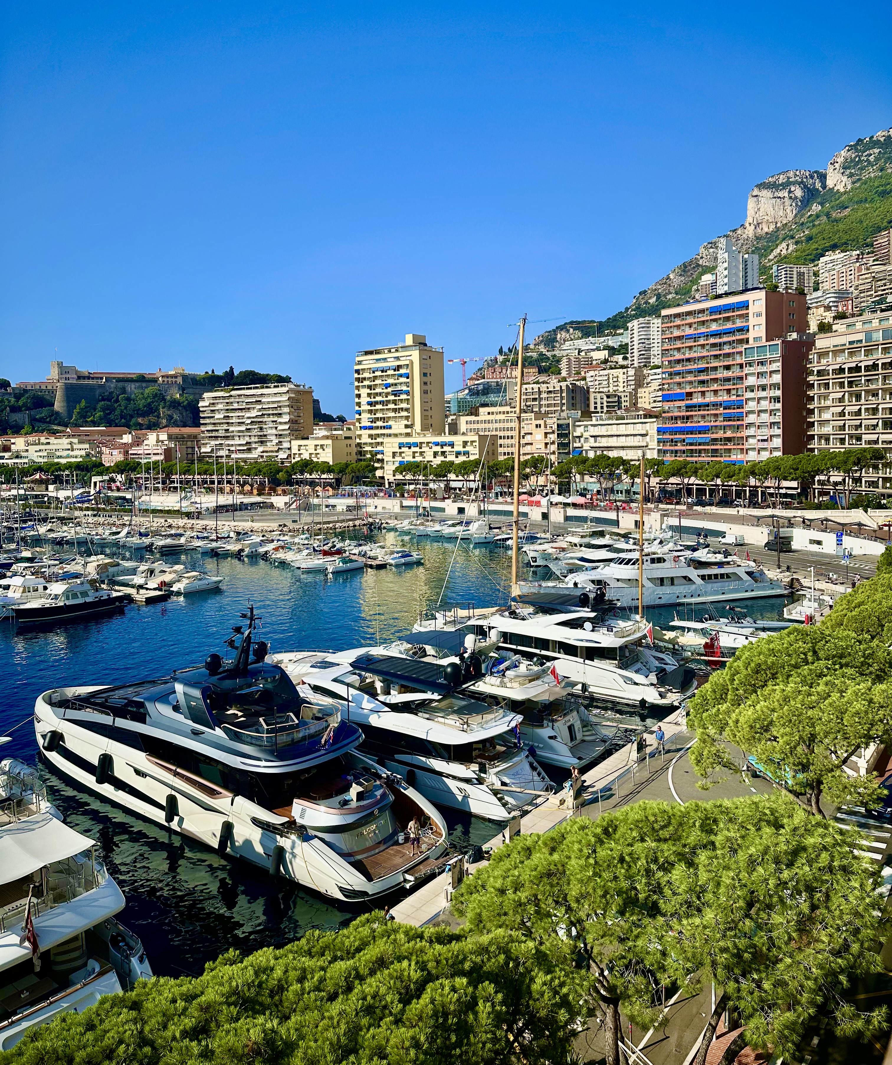 Quartier du Port de Monaco : toutes les conditions réunies pour un marché immobilier fleurissant