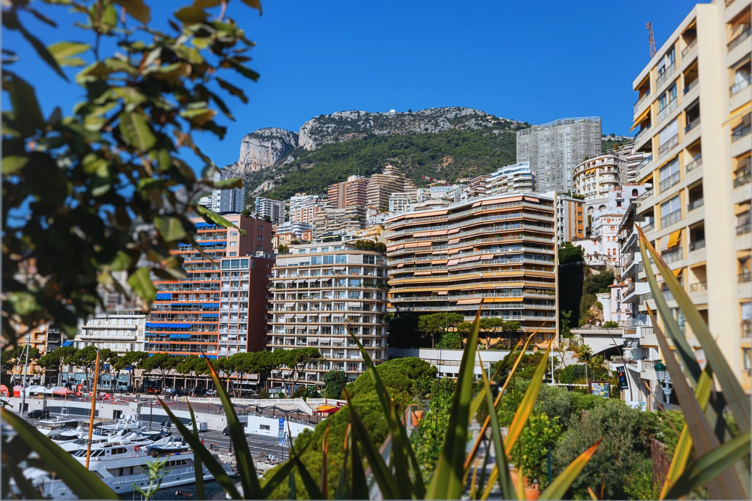 Taxation in monaco