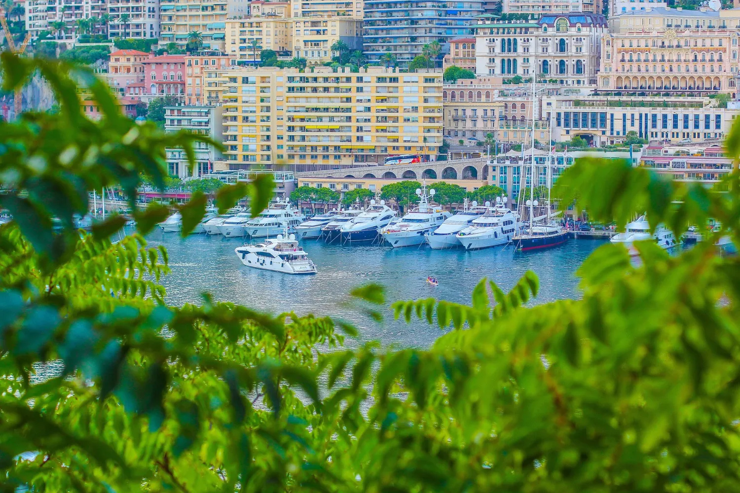 Port de Monaco et ses végétaux
